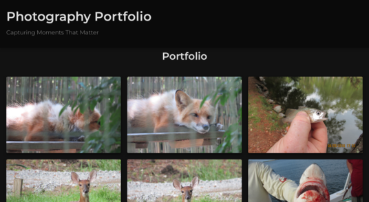 Photography Portfolio Preview